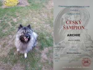 archie-cesky-sampion.jpg
